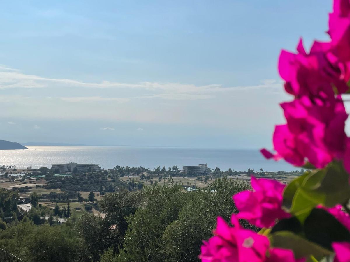 Sithonian Villa Neos Marmaras Exteriör bild