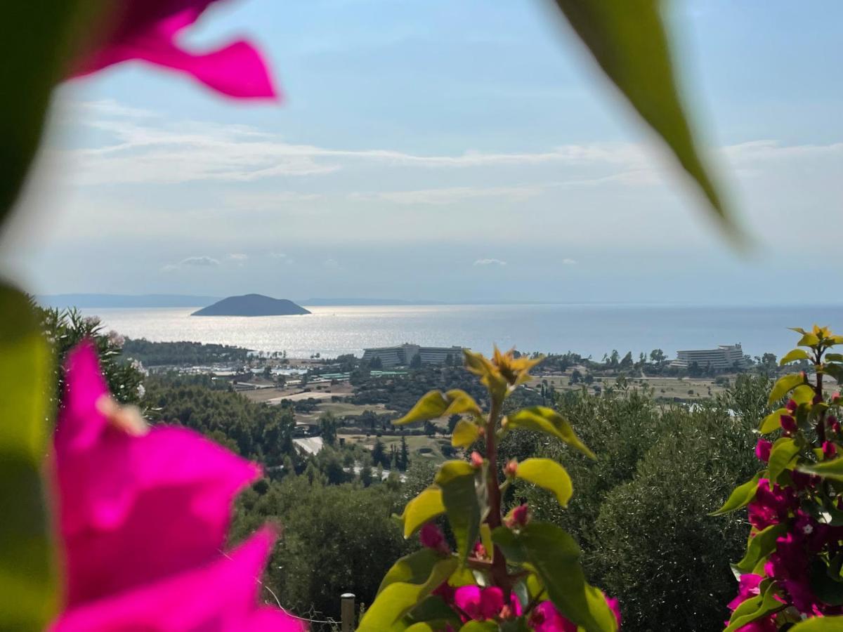 Sithonian Villa Neos Marmaras Exteriör bild